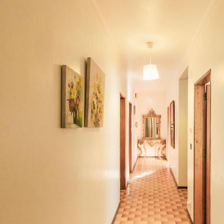 Beach Avenue Apartment Ferrel  Luaran gambar